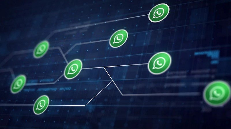 5 dicas para turbinar o WhatsApp Business da sua empresa